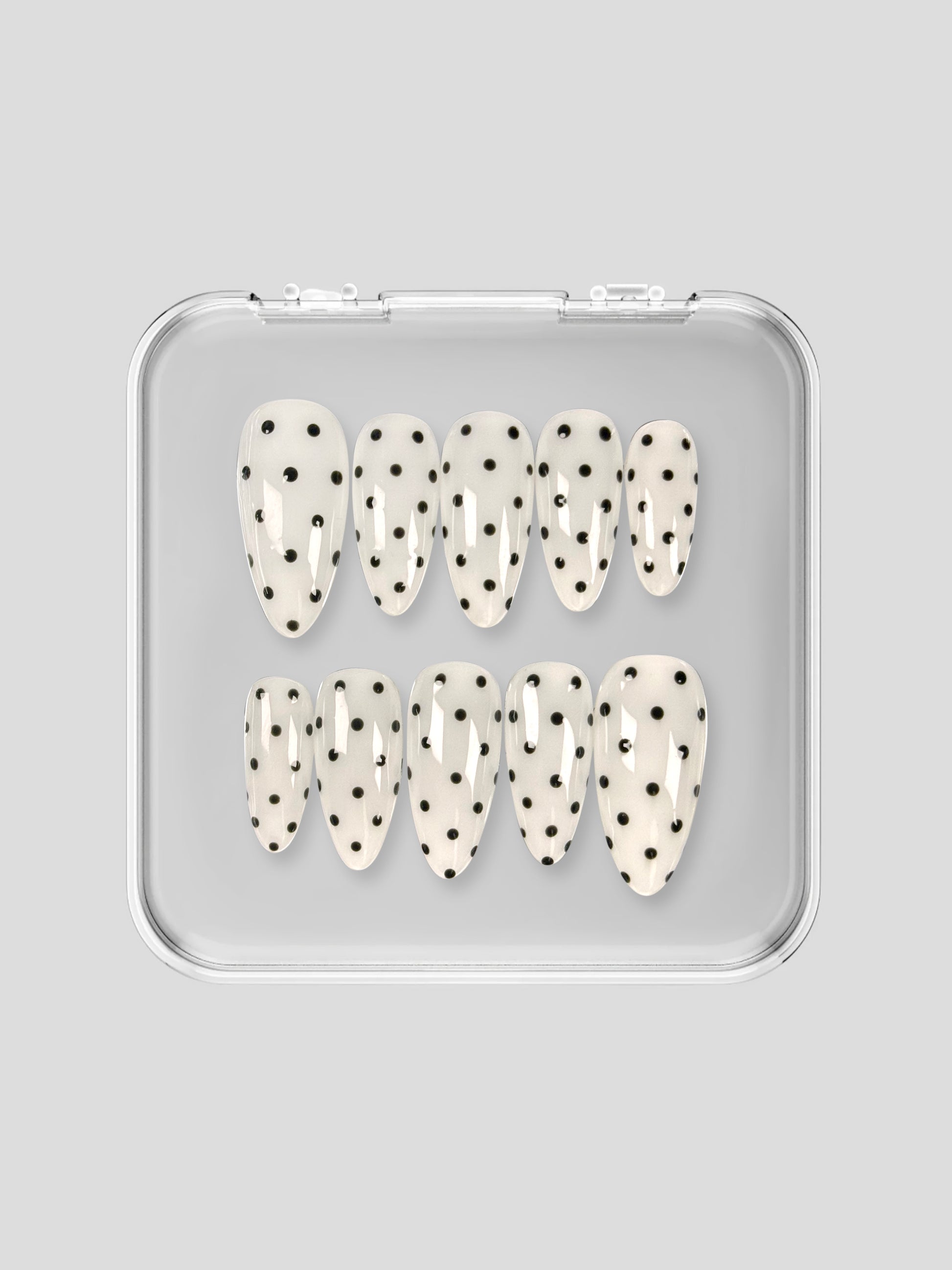 Translucent Polka Dotty