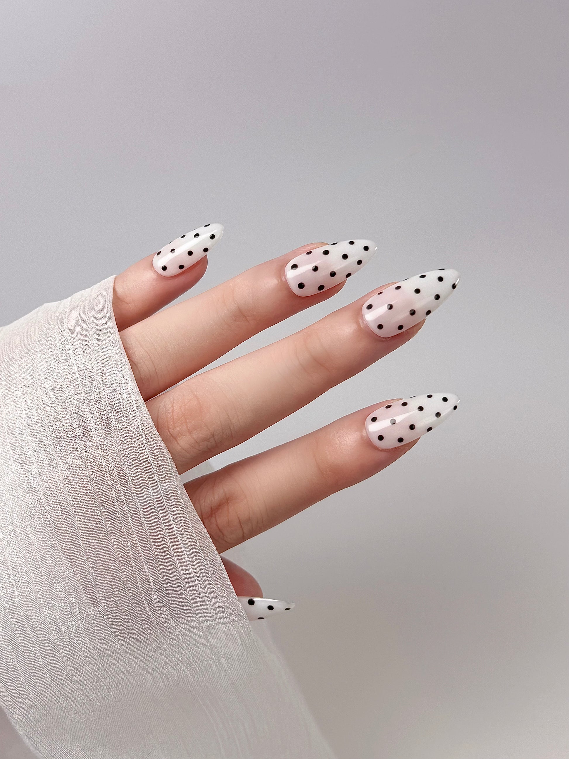 Translucent Polka Dotty
