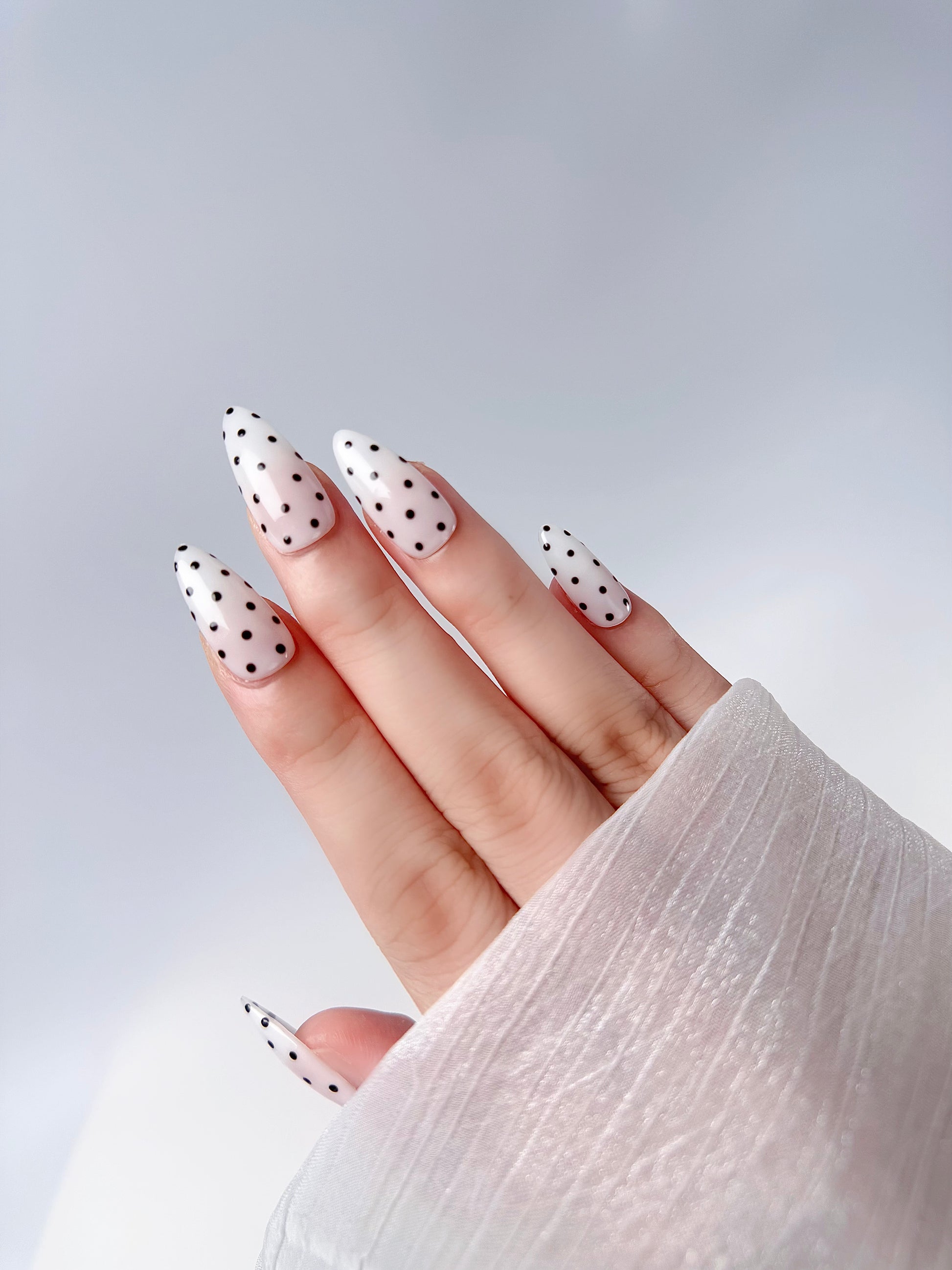 Translucent Polka Dotty