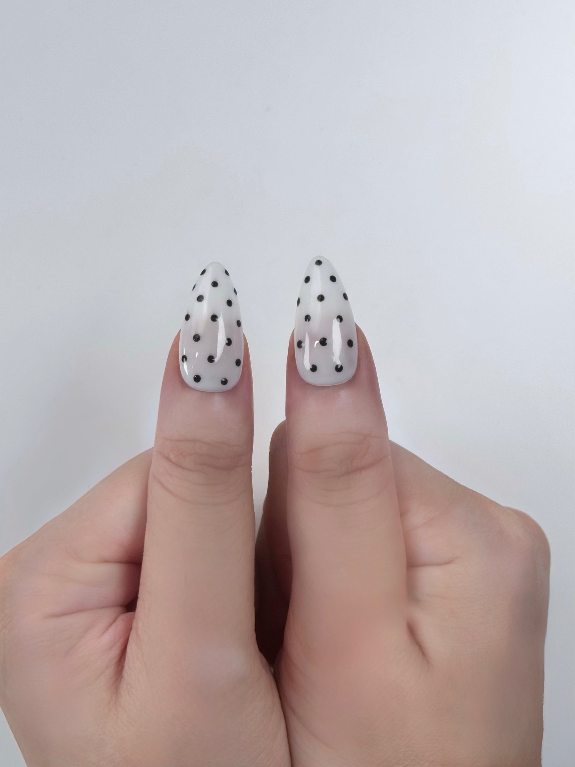 Translucent Polka Dotty